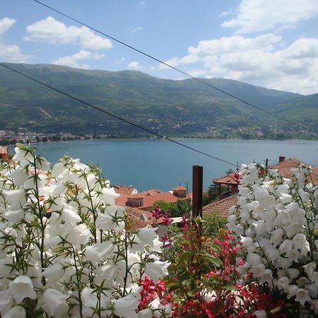 Apartments Villa Saray Ohrid Bagian luar foto