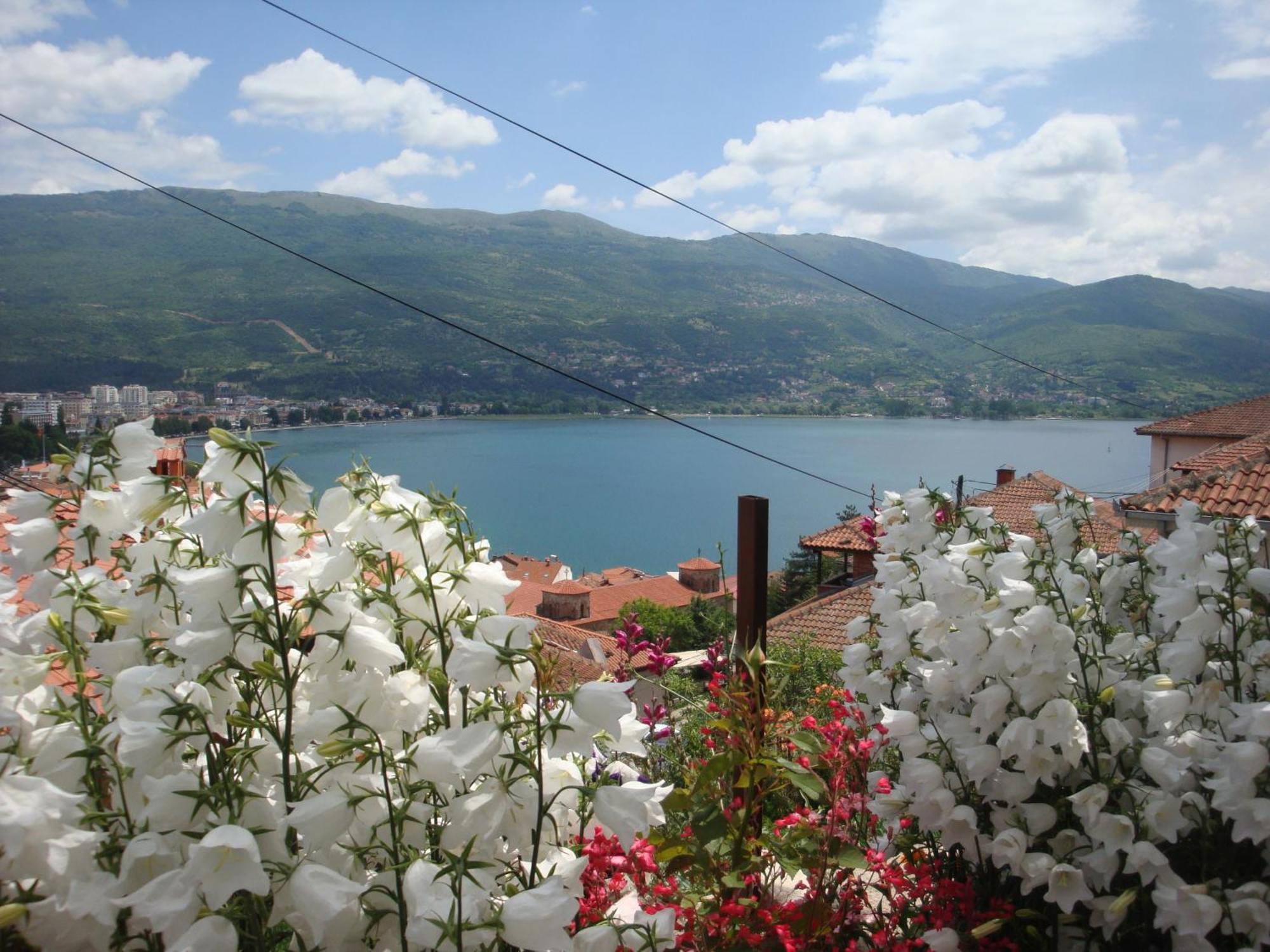 Apartments Villa Saray Ohrid Bagian luar foto