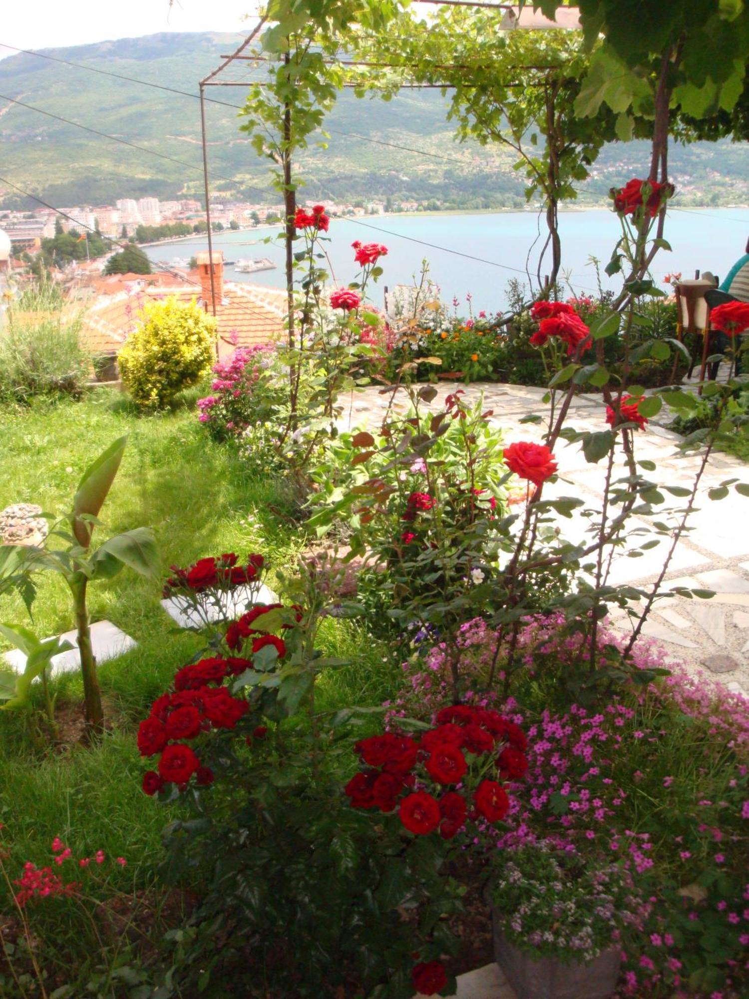 Apartments Villa Saray Ohrid Bagian luar foto