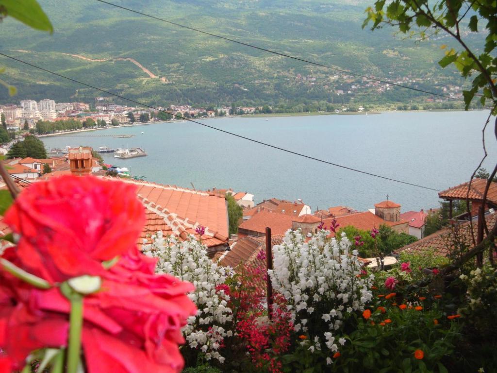 Apartments Villa Saray Ohrid Bagian luar foto