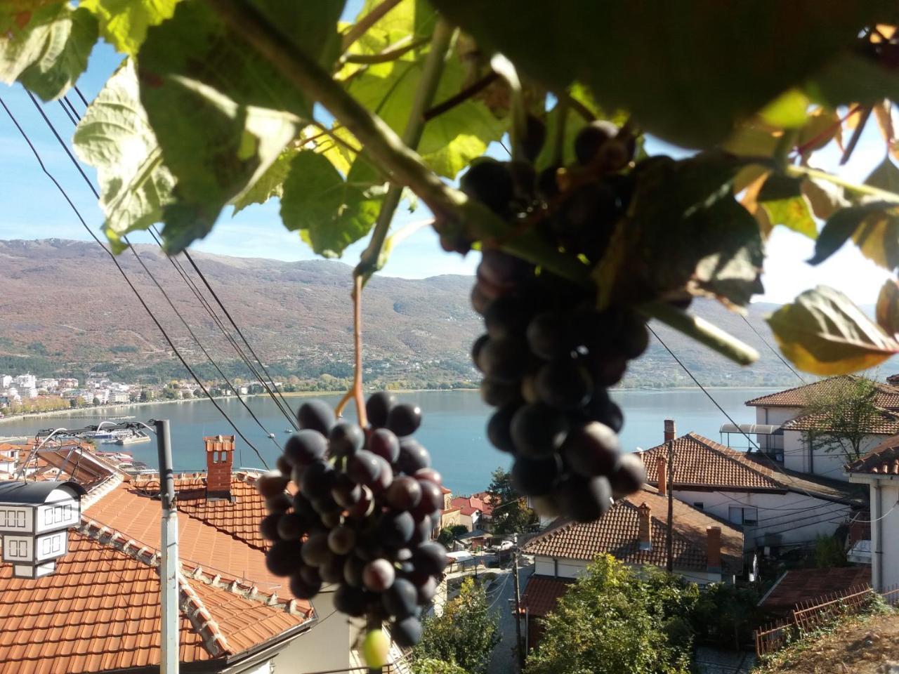 Apartments Villa Saray Ohrid Bagian luar foto